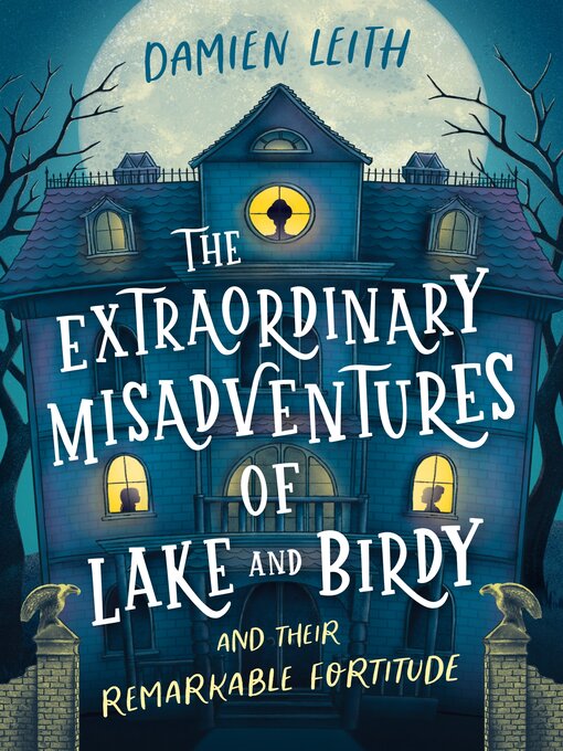 Title details for The Extraordinary Misadventures of Lake and Birdy (and their remarkable fortitude) by Damien Leith - Available